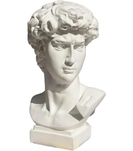 Amazon.co.jp: 石膏像 胸像 人物像 置物 デビッド像 石膏像風 レプリカ